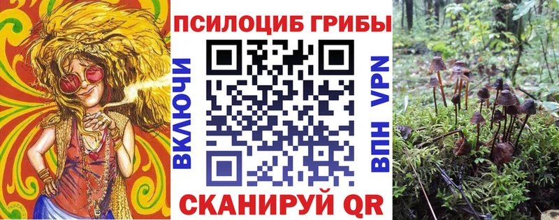 Псилоцибиновые грибы прущие грибы  kraken маркетплейс  Кушва  купить  сайты 